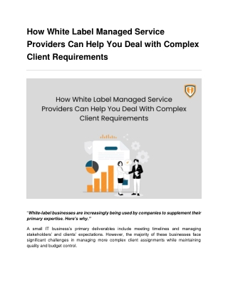 How White Label Managed Service Providers Can Help You Deal with Complex Client Requirements