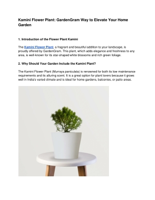 Kamini Flower Plant_ GardenGram Way to Elevate Your Home Garden