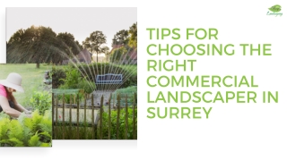 Tips for Choosing the Right Commercial Landscaper in Surrey