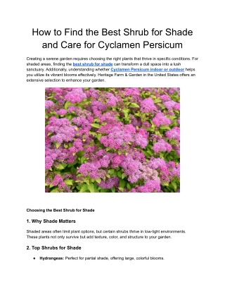 How to Find the Best Shrub for Shade and Care for Cyclamen Persicum