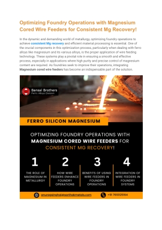 Optimizing Foundry Operations with Magnesium Cored Wire Feeders for Consistent Mg Recovery