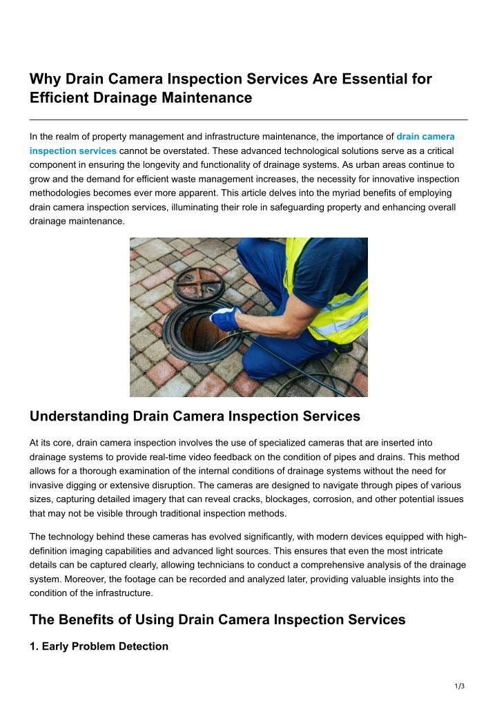 why drain camera inspection services