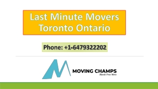 Last Minute Movers Toronto Ontario