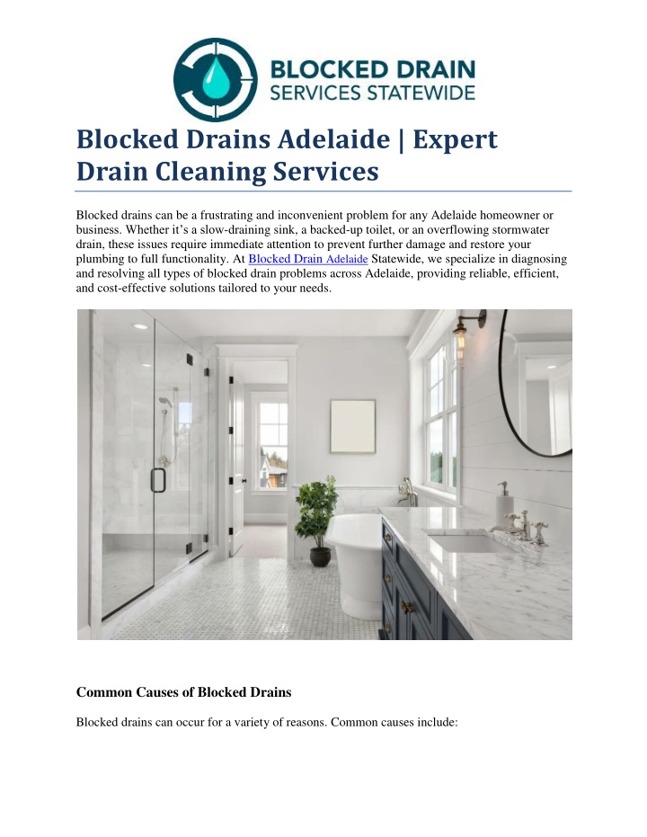 blocked drains adelaide expert drain cleaning