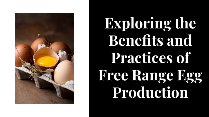 exploring the benefits and practices of free