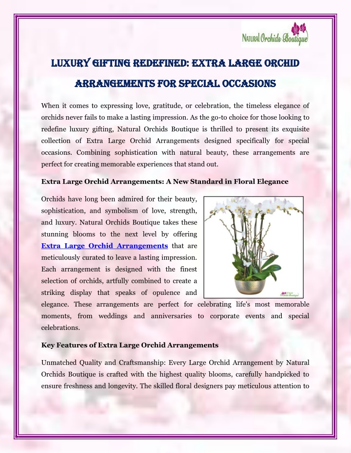 luxury gifting redefined extra large orchid