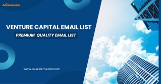 Venture Capital Email List - Premium  Quality Email List