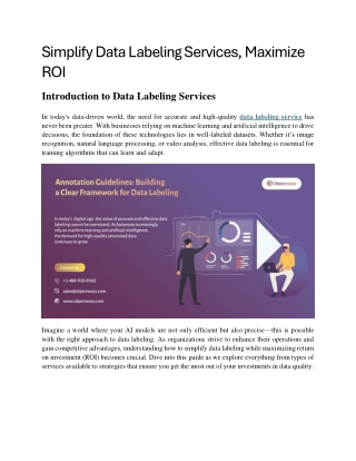 Simplify Data Labeling Services | Maximize ROI