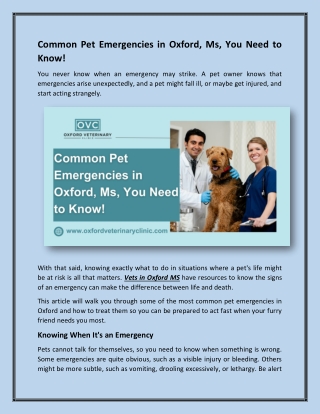 Common Pet Emergencies in Oxford  Ms You Need to Know