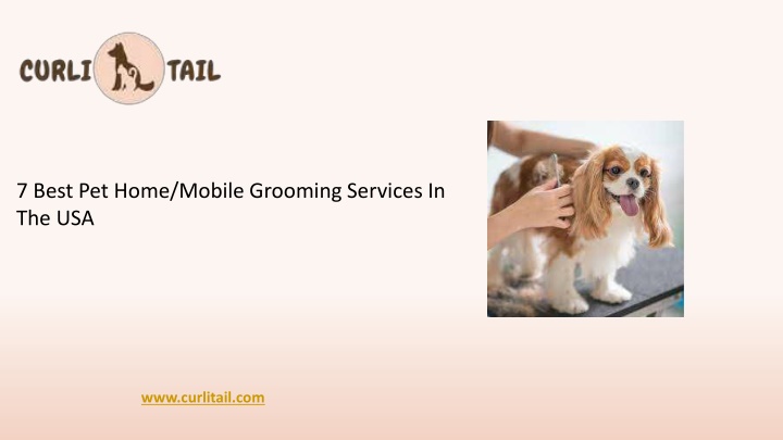 7 best pet home mobile grooming services