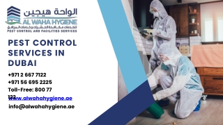 Pest Control Services in Dubai