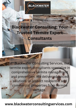 Blackwater Consulting Your Trusted Termite Expert Consultants