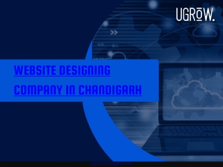 Website Designing Company In Chandigarh