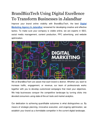 BrandBizzTech Using Digital Excellence To Transform Businesses in Jalandhar