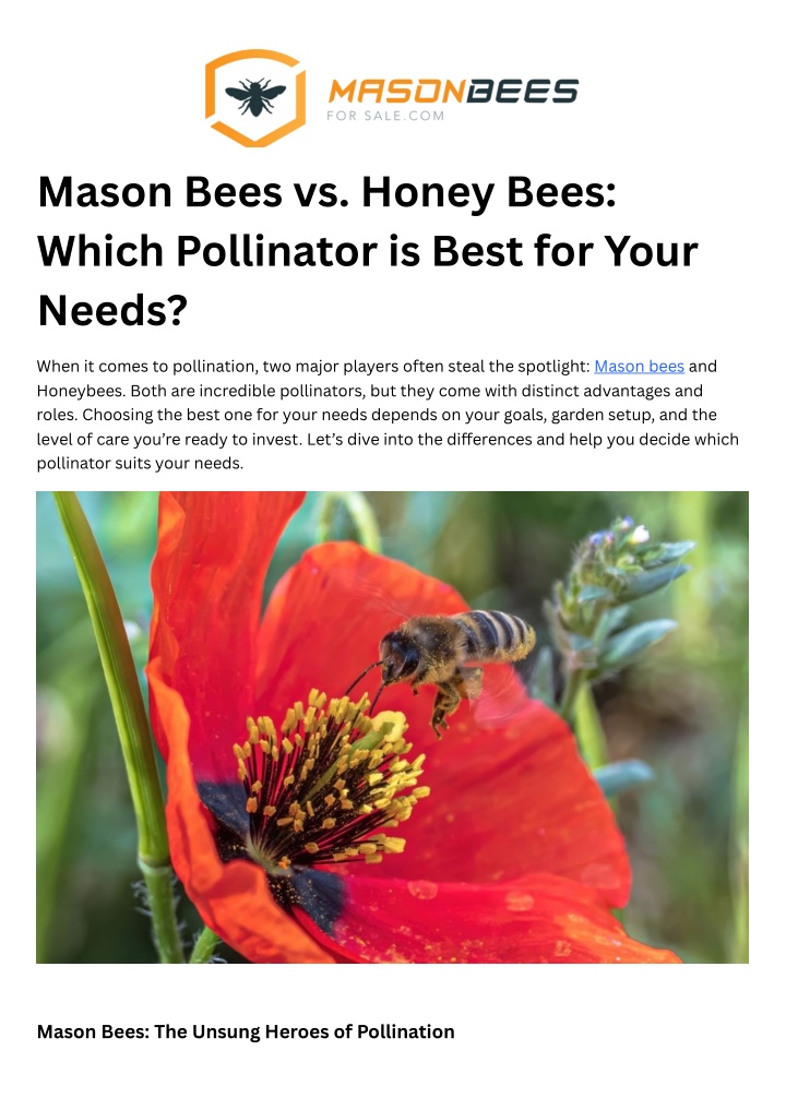 mason bees vs honey bees which pollinator is best