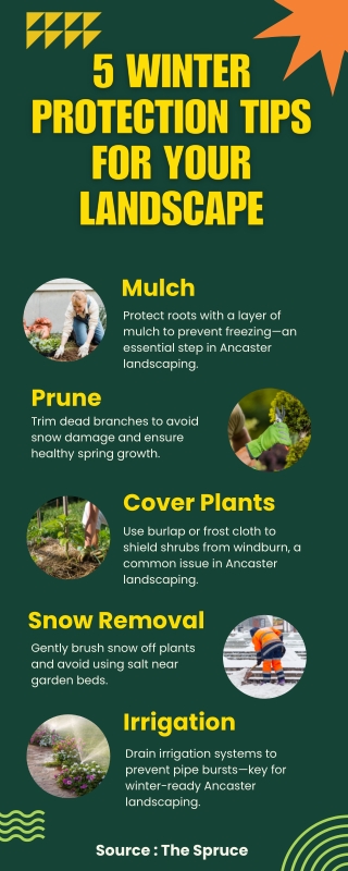 Winter-Proof Your Landscape | Ancaster Landscaping Guide