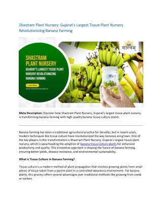 Transforming Banana Farming with High-Quality Tissue Culture Plants!