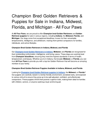 Champion Bred Golden Retrievers & Puppies for Sale in Indiana, Midwest, Florida, and Michigan - All Four Paws (1) (1)