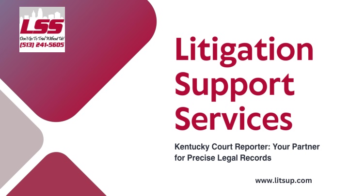 litigation support services