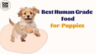 Best Human Grade Food For Puppies