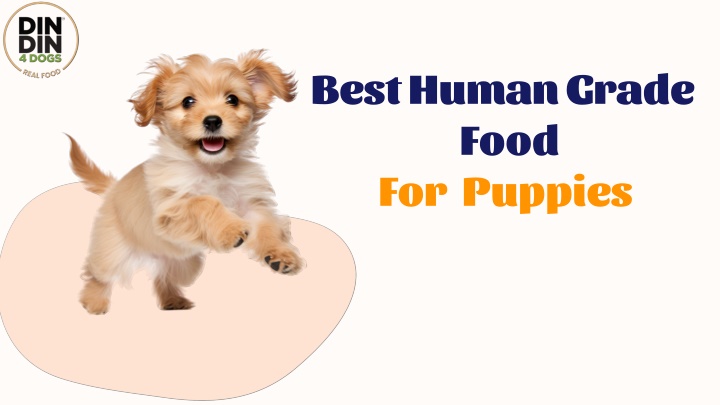 best human grade food for puppies