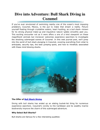 Dive into Adventure: Bull Shark Diving in Cozumel