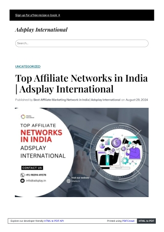 Top Affiliate Networks in India  Adsplay International