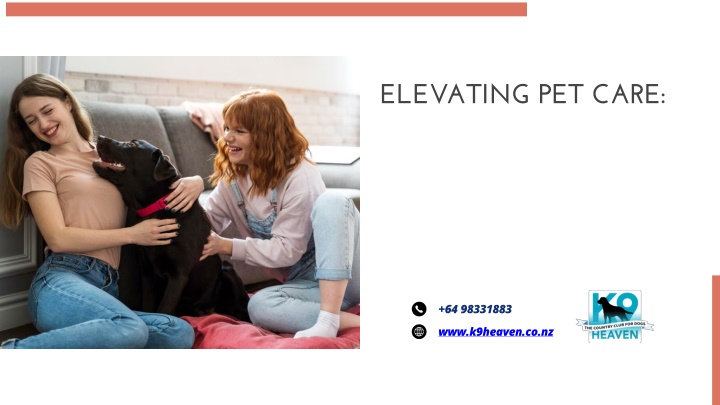 elevating pet care