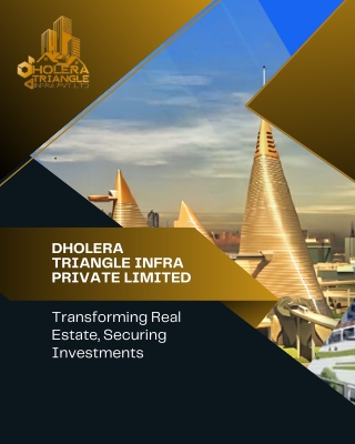 dholera triangle infra private limited