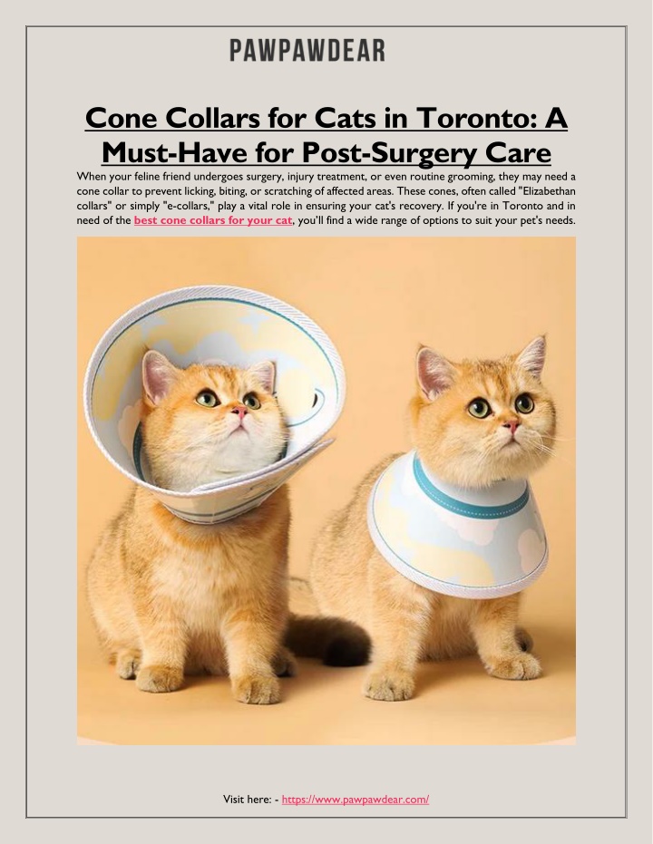 cone collars for cats in toronto a must have