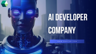 AI Developer Company (1)