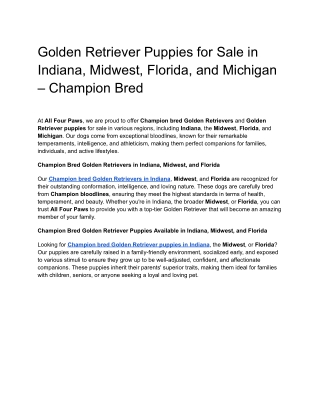 Golden Retriever Puppies for Sale in Indiana, Midwest, Florida, and Michigan – Champion Bred