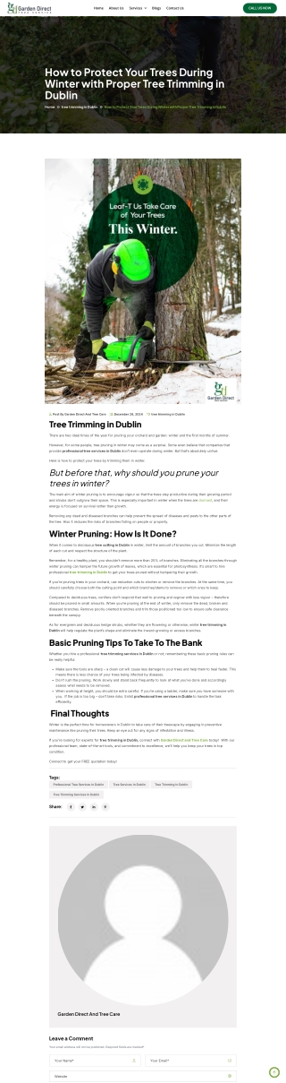 How to Protect Your Trees During Winter with Proper Tree Trimming in Dublin