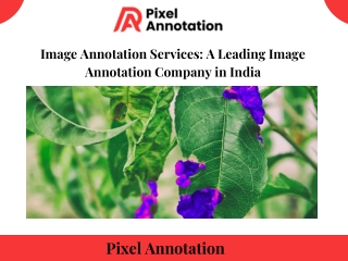 image annotation services a leading image