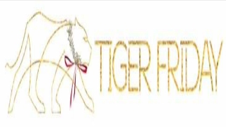 Premium Unitards Dancewear Online - Tiger Friday