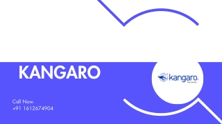 Kangaro - The Best Staple Remover Suppliers