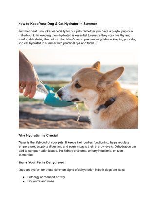 How to Keep Your Dog & Cat Hydrated in Summer