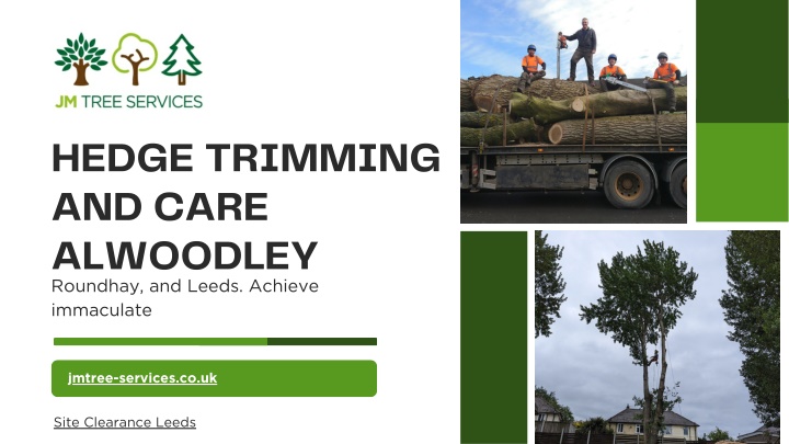 hedge trimming and care alwoodley roundhay