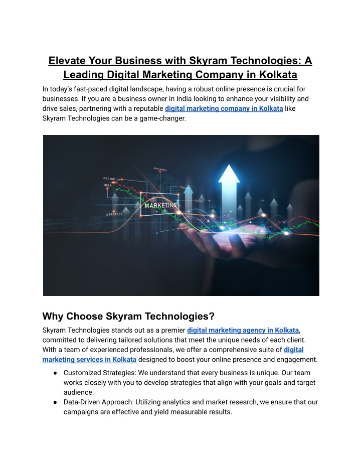 elevate your business with skyram technologies