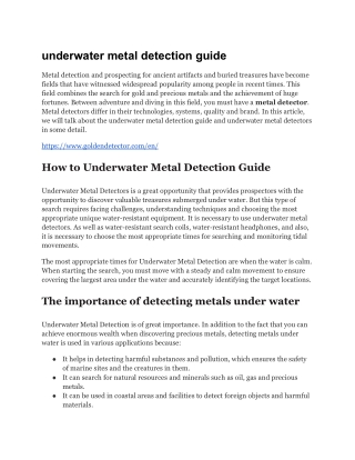 underwater metal detection guide (10)