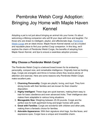 Pembroke Welsh Corgi Adoption Bringing Joy Home with Maple Haven Kennel