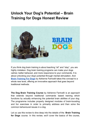 Brain Training for Dogs Review – A Game-Changer for Dog Owners