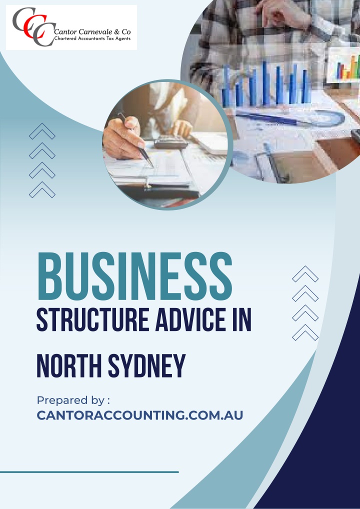 business structure advice in north sydney