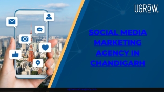 Social Media Marketing Agency In Chandigarh