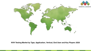 nvh testing market by type application vertical
