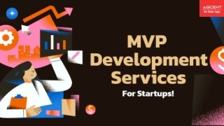 MVP Development Services