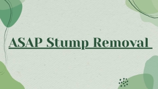 Transform Your Landscape with Professional Tree Stump Removal Gold Coast