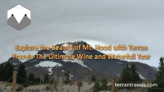 Explore the Beauty of Mt. Hood with Terran Travels The Ultimate Wine and Waterfall Tour