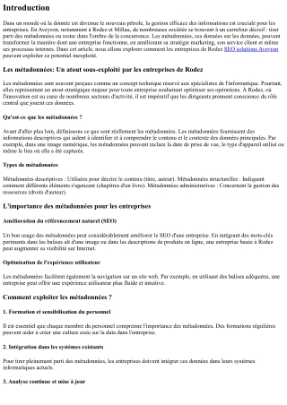 “Les métadonnées: Un atout sous-exploité par les entreprises de Rodez”