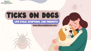 Tick Prevention Tips for Dog Owners